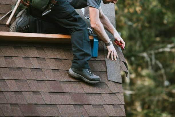 Best Local Roofing Companies  in Rogers City, MI